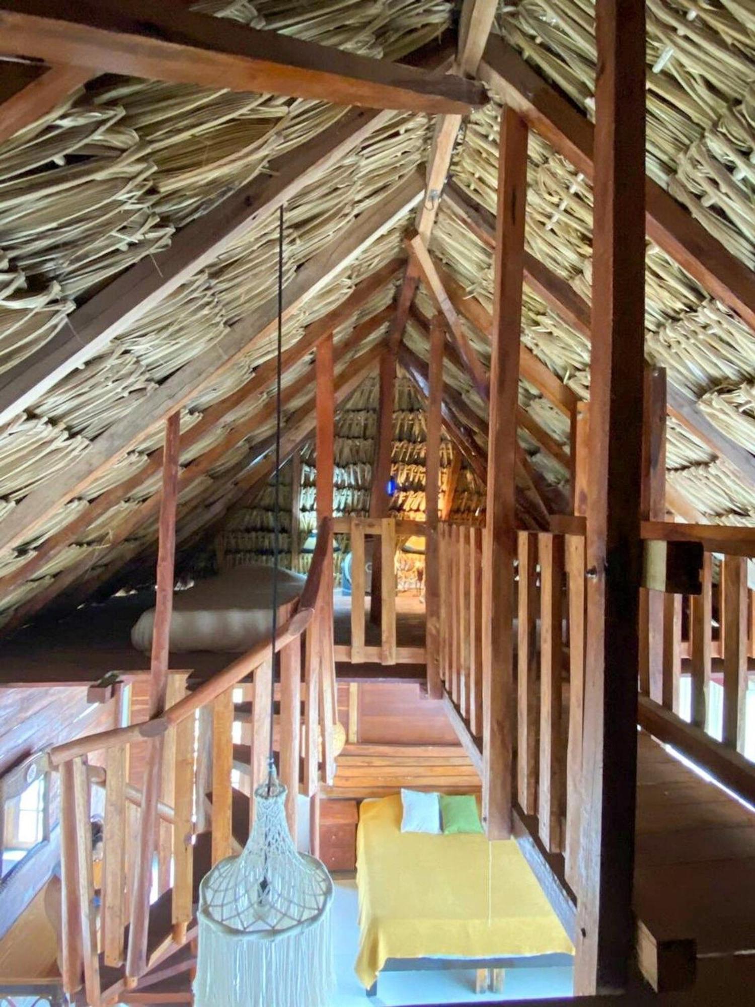 Casa Tropicana エル・コージョ エクステリア 写真