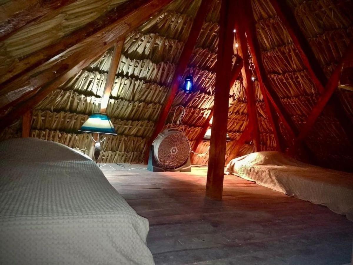 Casa Tropicana エル・コージョ エクステリア 写真