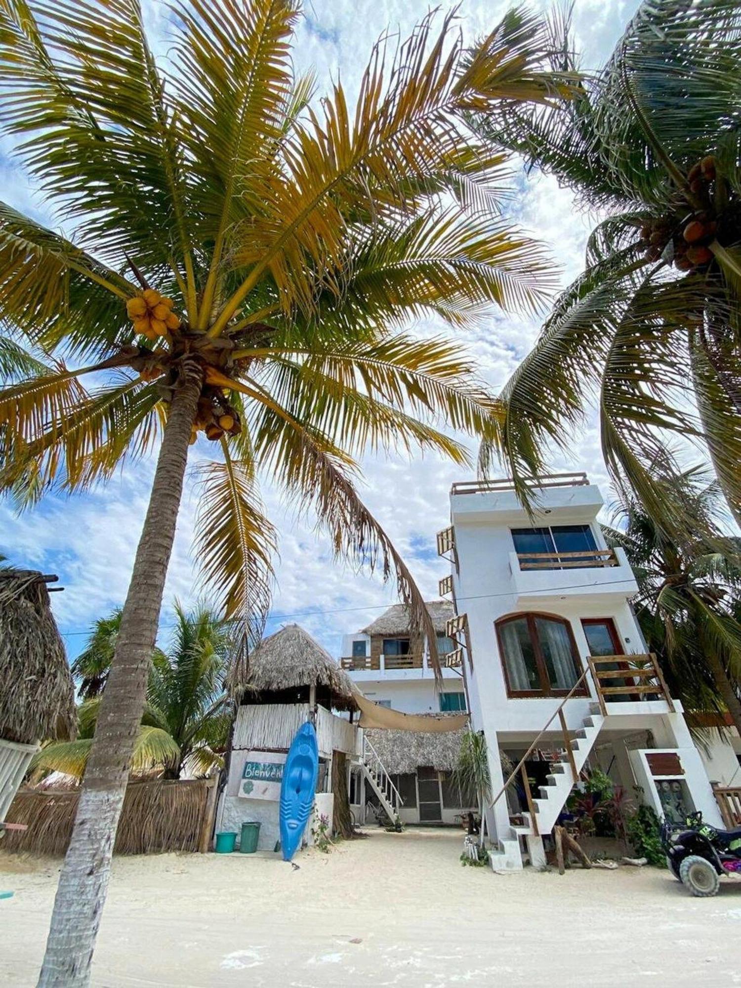 Casa Tropicana エル・コージョ エクステリア 写真
